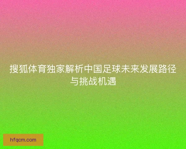 搜狐体育独家解析中国足球未来发展路径与挑战机遇