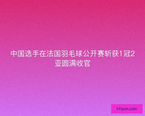 中国选手在法国羽毛球公开赛斩获1冠2亚圆满收官