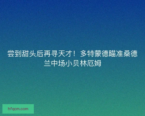尝到甜头后再寻天才！多特蒙德瞄准桑德兰中场小贝林厄姆